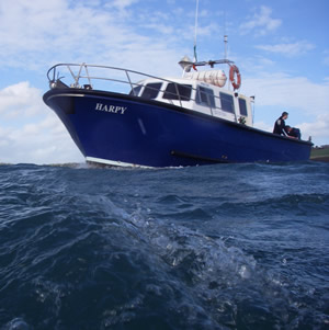 HARPY awaiting divers off Kinsale