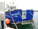 HARPY: Dive  ladder down, stern door open.