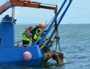 AUD's stockless anchor about to come aboard.