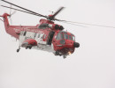 EI-SAR flypast