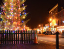 A tree-junction in Kinsale, Christmas 2011.