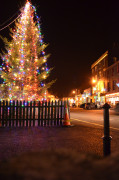 A tree-junction in Kinsale, Christmas 2011.