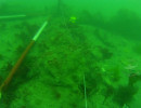 Old Anchor, Kinsale harbour.