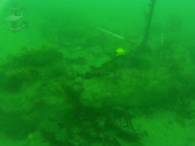 Old Anchor, Kinsale harbour.