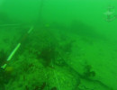 Old Anchor, Kinsale harbour.