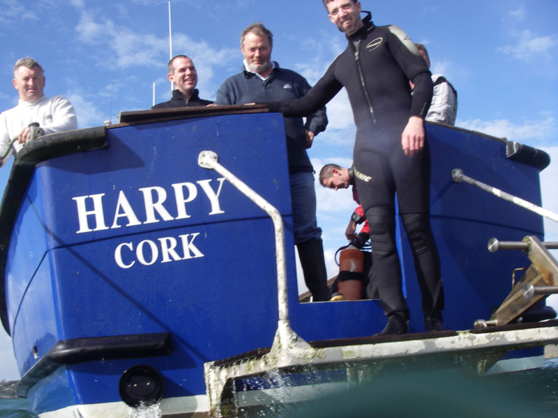 Divers view of HARPY