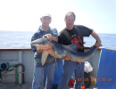 Blue Shark. Catch, tag & release.