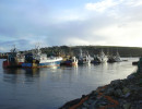 Fishermans pontoon, 2006