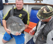 Ocean sunfish on deck