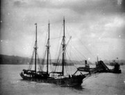 Oosterschelde, Cardiff, 20/May/1922